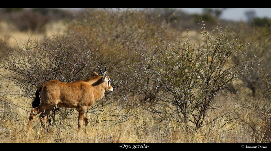 IMG_5104-01