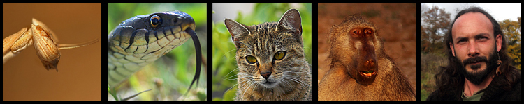 IMG_21617-ab